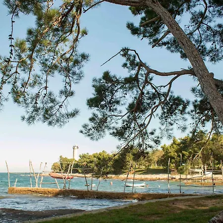 In - Istrien 26738 Appartement Umag